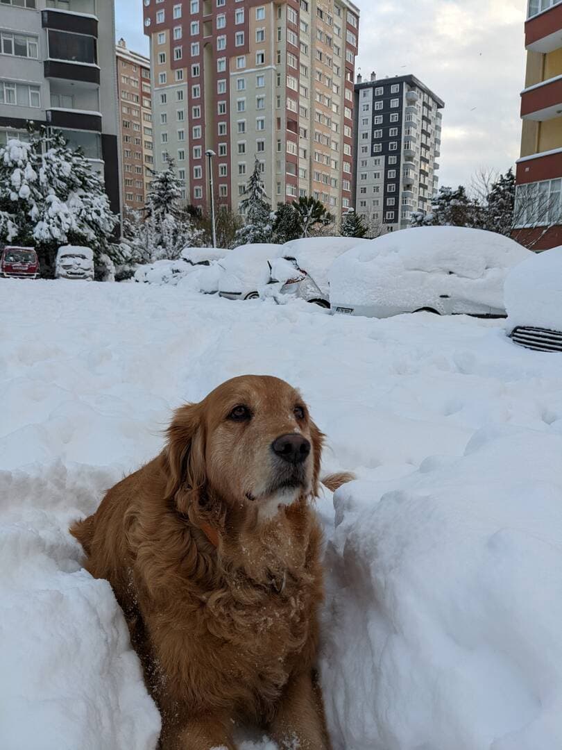 Max